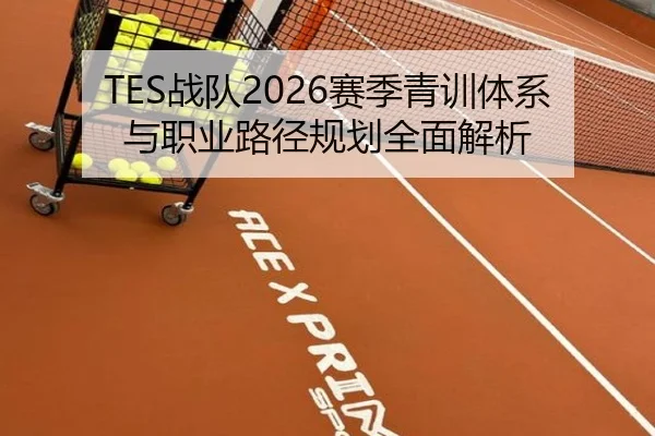 TES战队2026赛季青训体系与职业路径规划全面解析